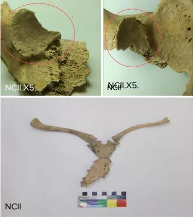 cfcf1acf-d5fc-4fde-b1ac-d7c0a9f010ef