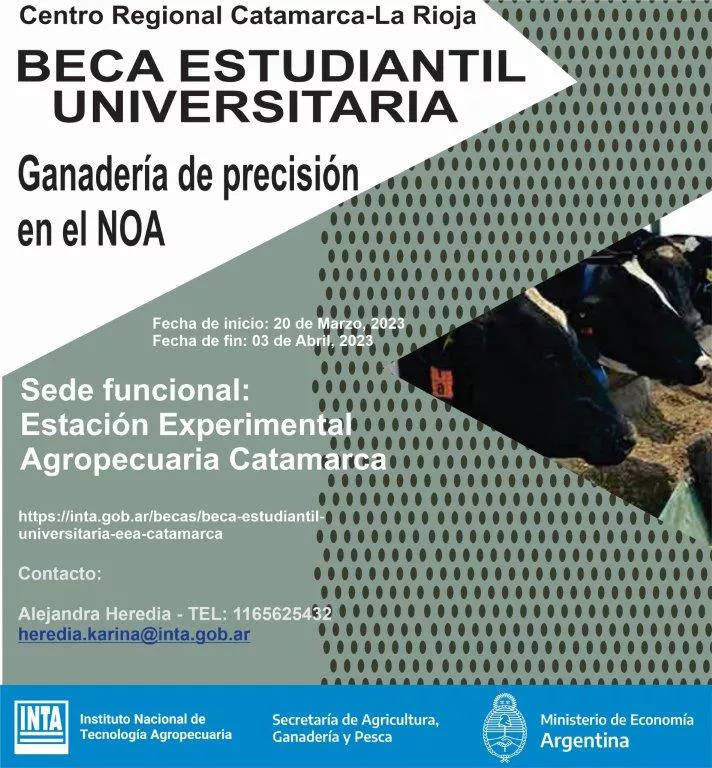 82c1ebd0-cc05-4f54-8fea-4b2c9dc1e661