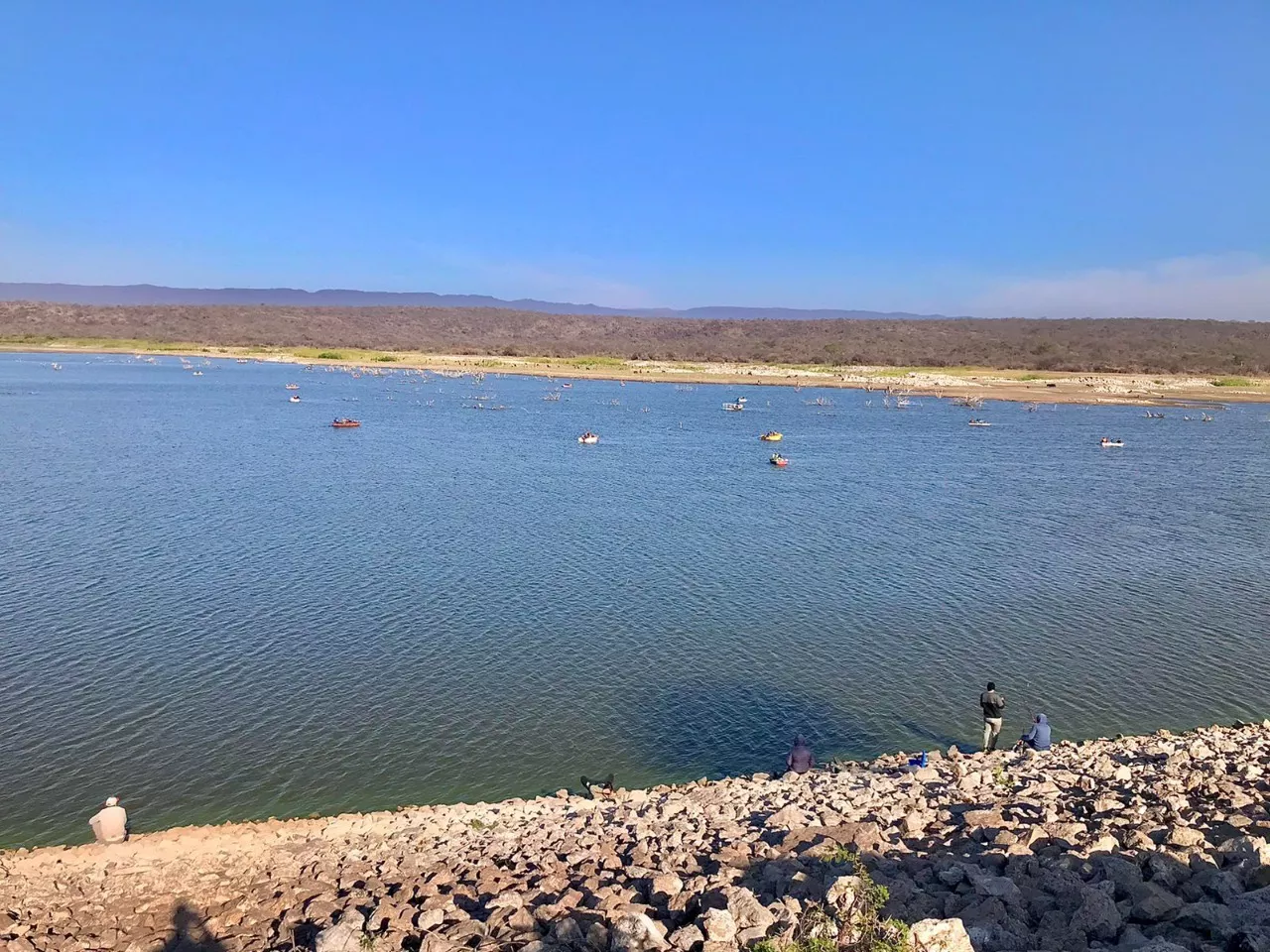 fe7e5830-a6a5-43a6-8d17-1ba03254320c