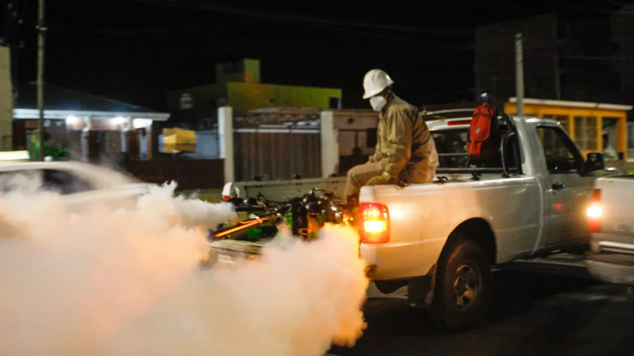 Dengue fumigación