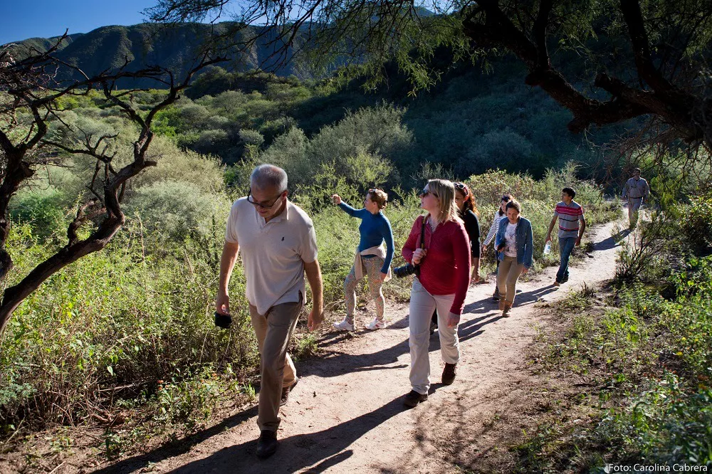 ce112b67-a0fa-4ad4-ad09-2f0e1bcc1197