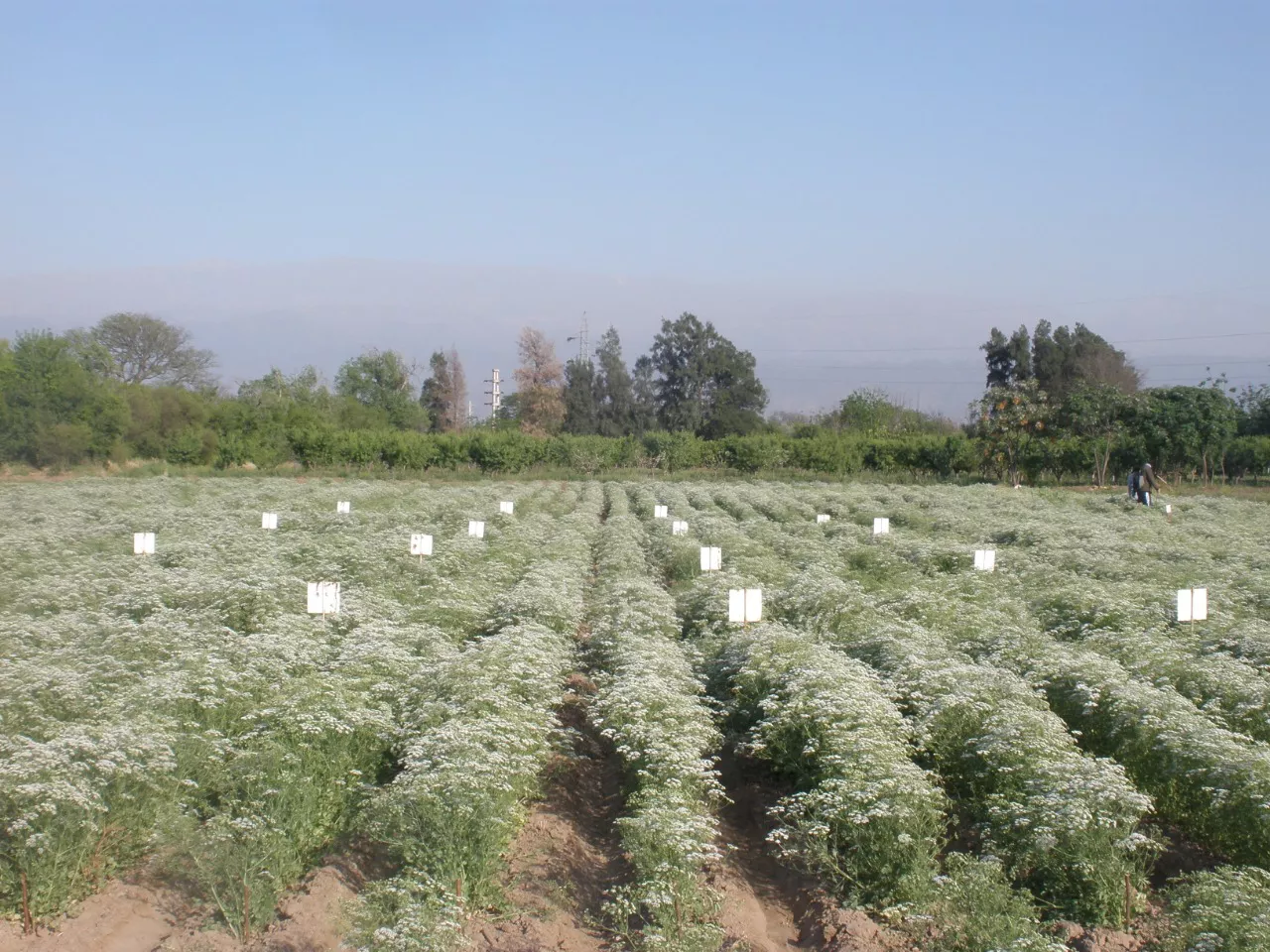 cc932957-3269-4be6-b4f3-03170109c557