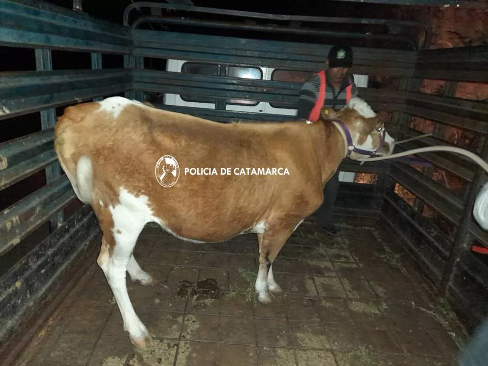 Secuestro Div Policía Montada.