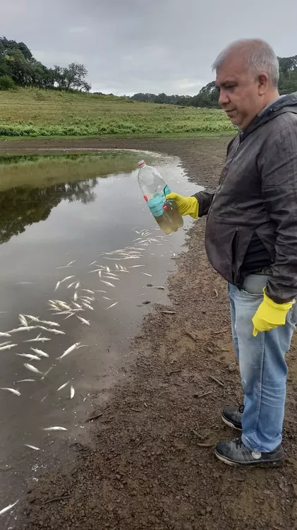 d8ff781e-b0a2-415c-bd55-f2b02fc5cb70