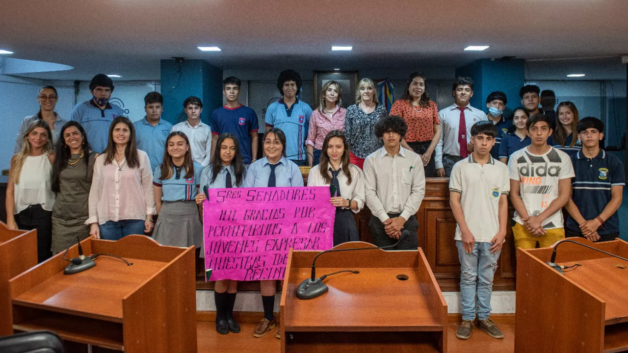 El Senado en la Escuela
