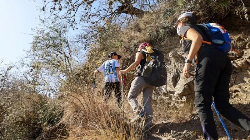 f800x450-290030_341476_5050