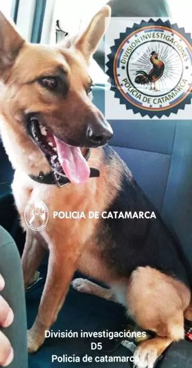 Secuestro Can de Investigaciones