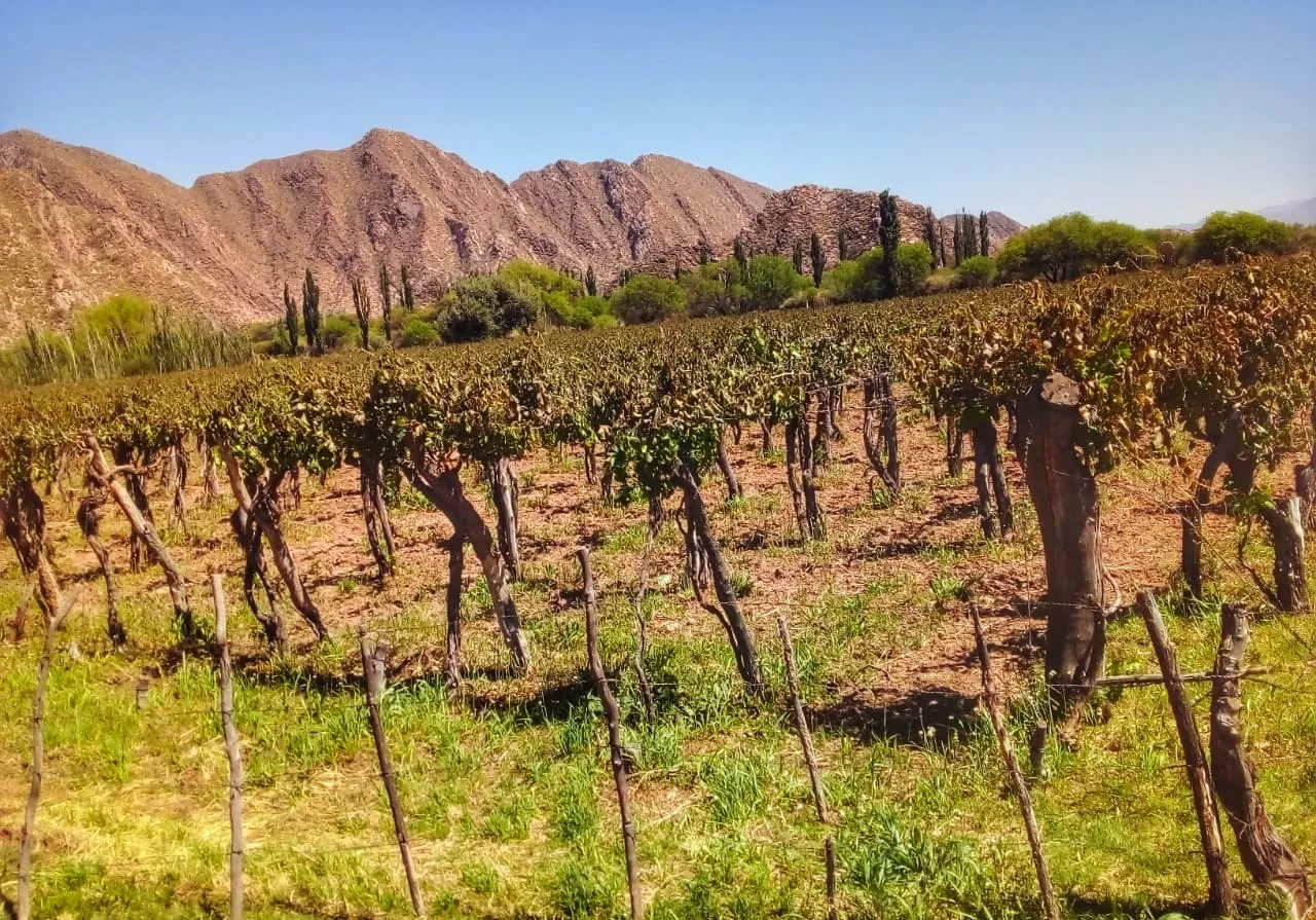 f4953d64-a752-4e49-bbb7-d8c1dd49420b