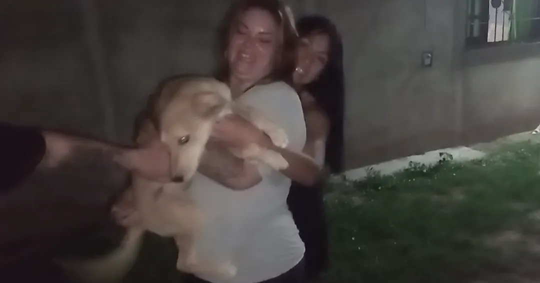 Screenshot_20231225-202712