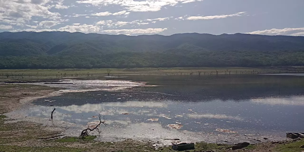 bf97840c-16b3-4e50-95e3-e859550b2317