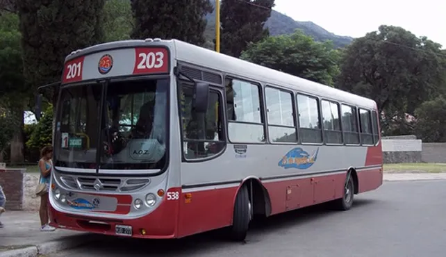 201-colectivo