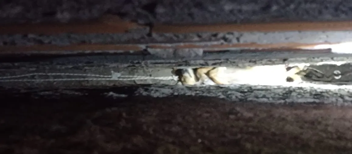 IMG-20231225-WA0043(1)