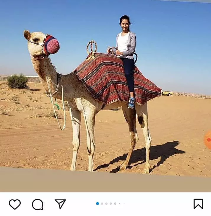 95b48bfc-cfa7-4c4a-a880-0afa4315ca17