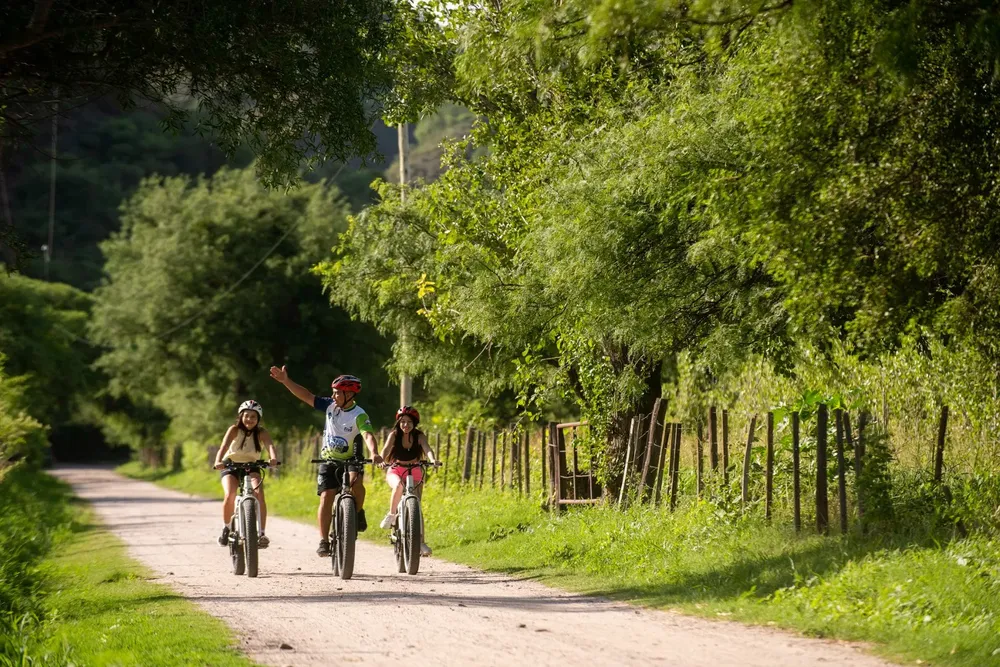 717e7757-fc18-4002-8c38-f10ce90eb191