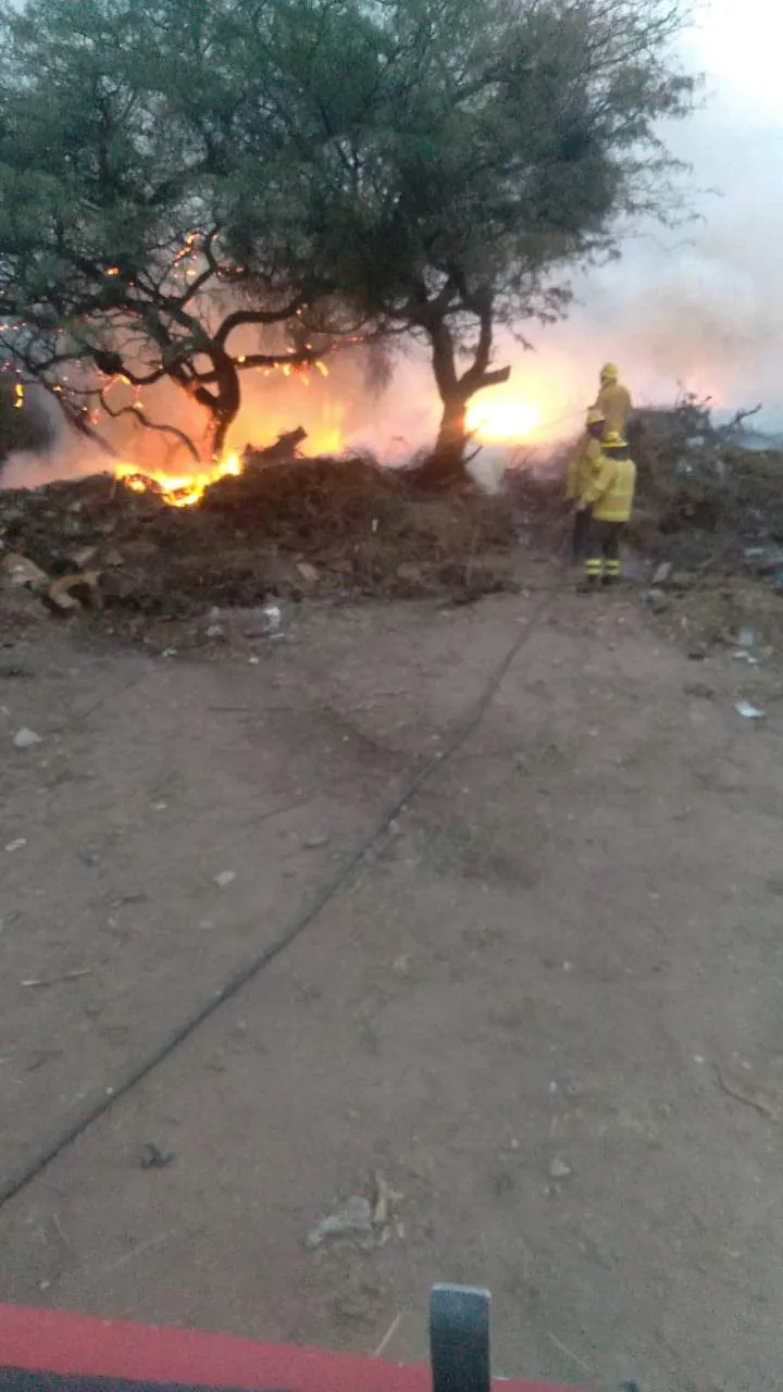 FB_IMG_1693917372444