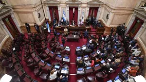 senado