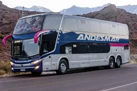 colectivo