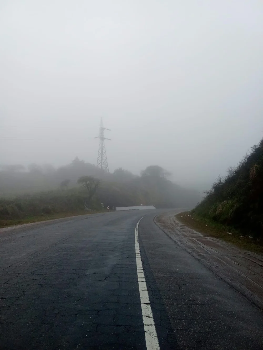 niebla