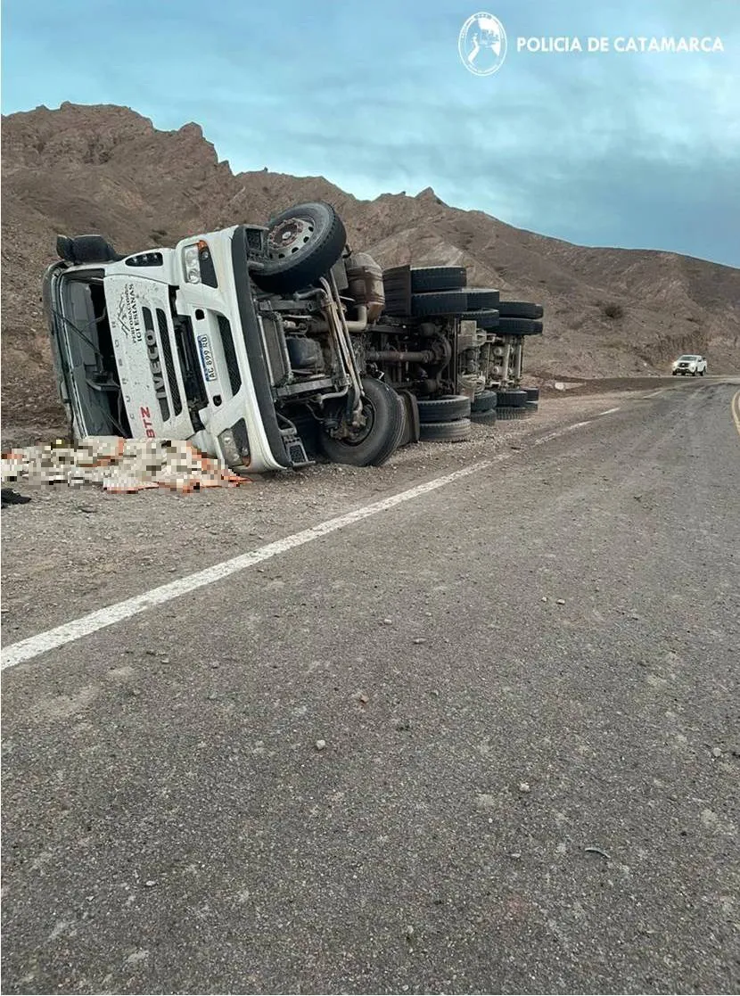 Siniestro vial fatal- cria de fiambalá (3)