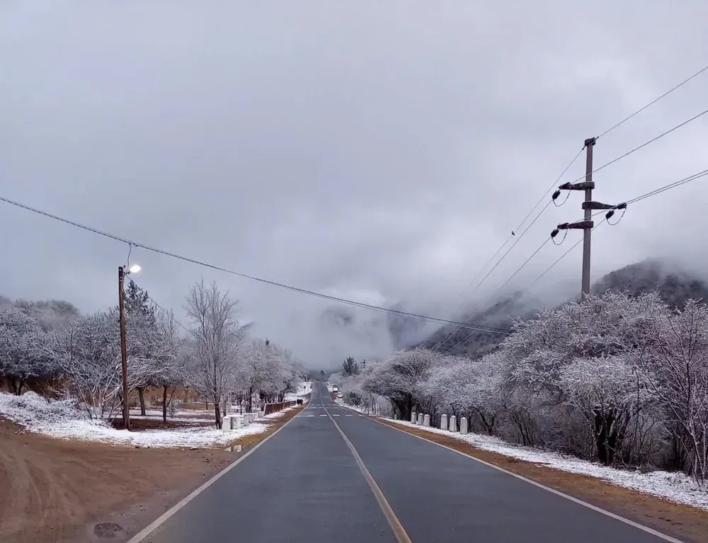 frio