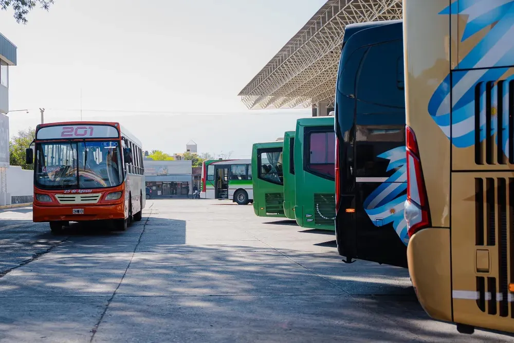 colectivos