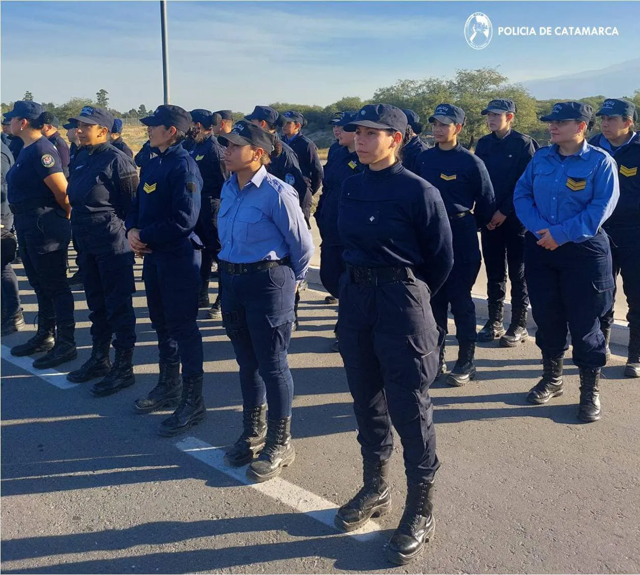 Policias