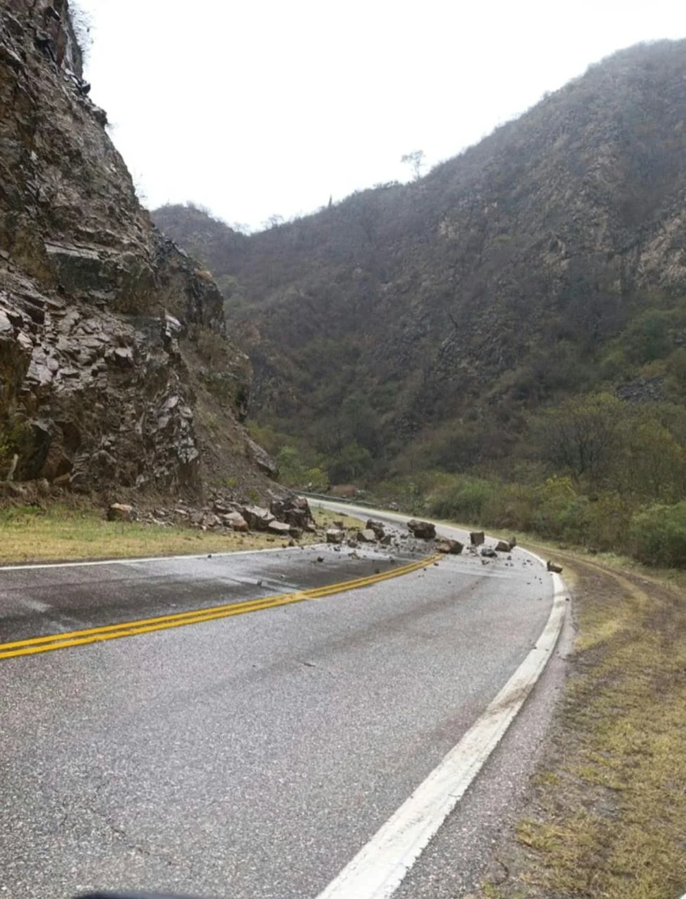 ruta