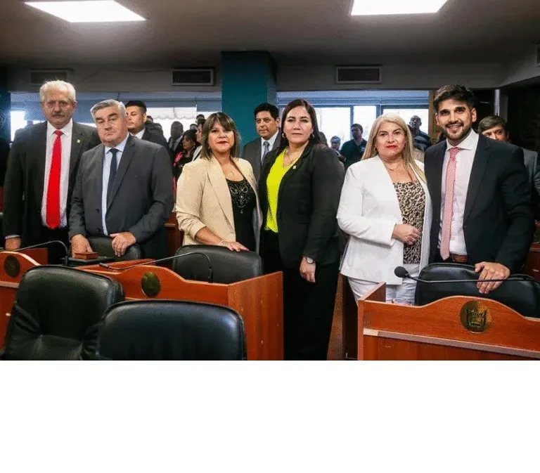 radicales con peluca