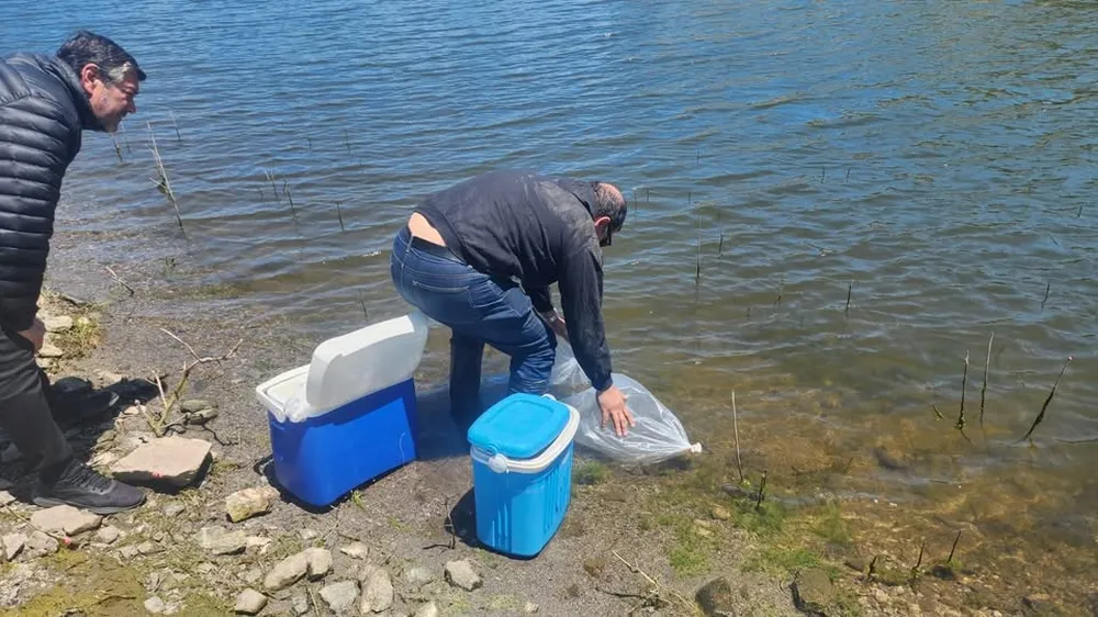 580089950_1150127647303835_660739180108223603_n