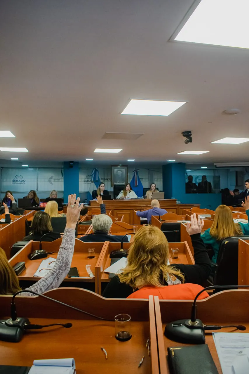 multimedia.normal.9ef4ac1afe94719a.SU1HLTIwMjQwNjA1LVdBMDEzOV9ub3JtYWwud2VicA==