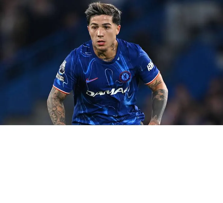 enzo fernandez