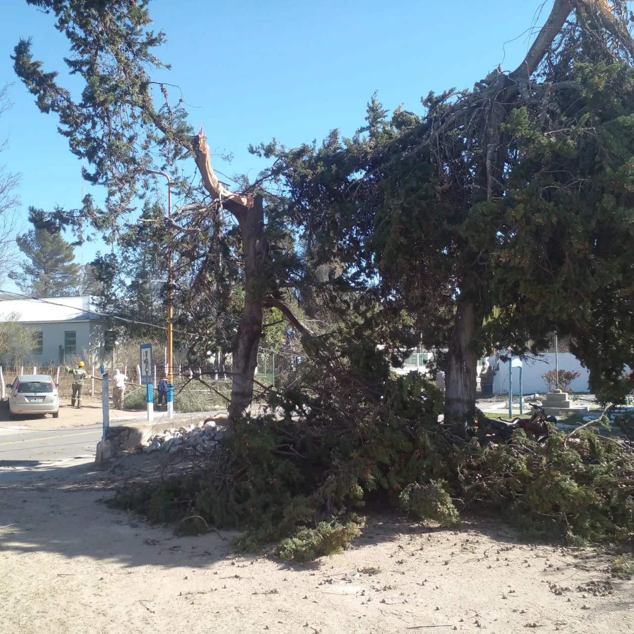 IMG-20240919-WA0022