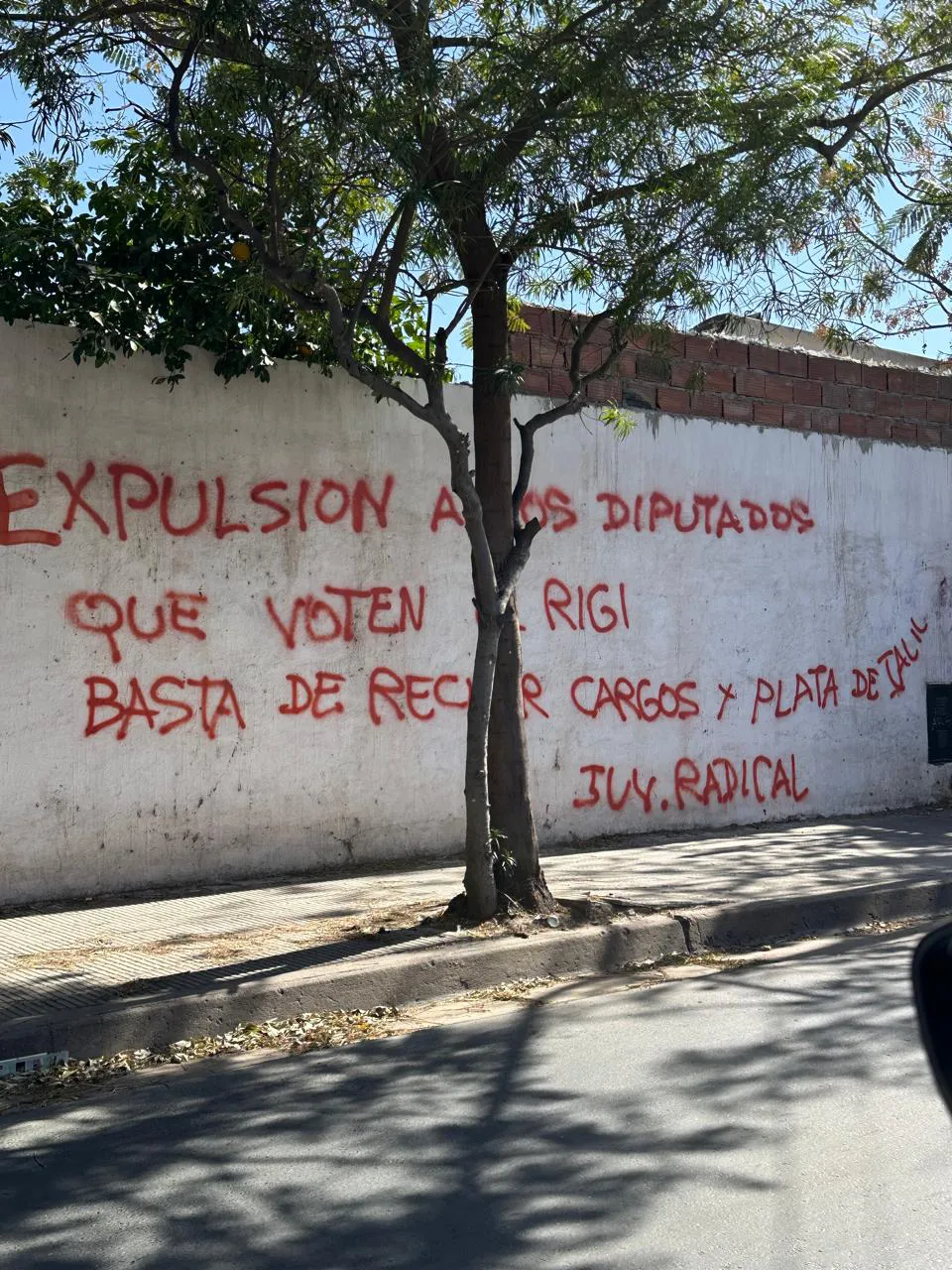 pintada