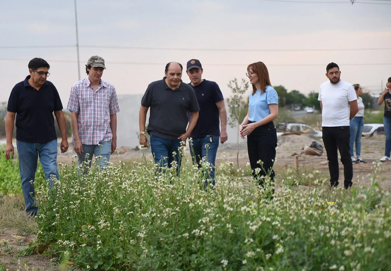 Huerta en Valle Chico (7)
