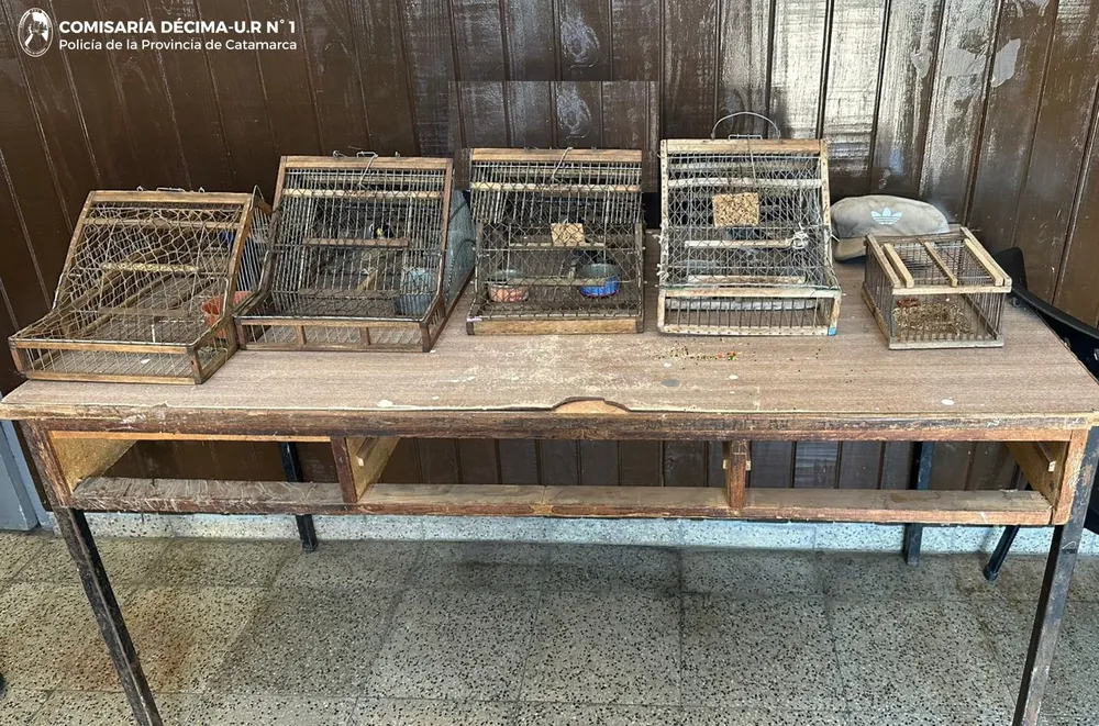 secuestro-aves-cria-10