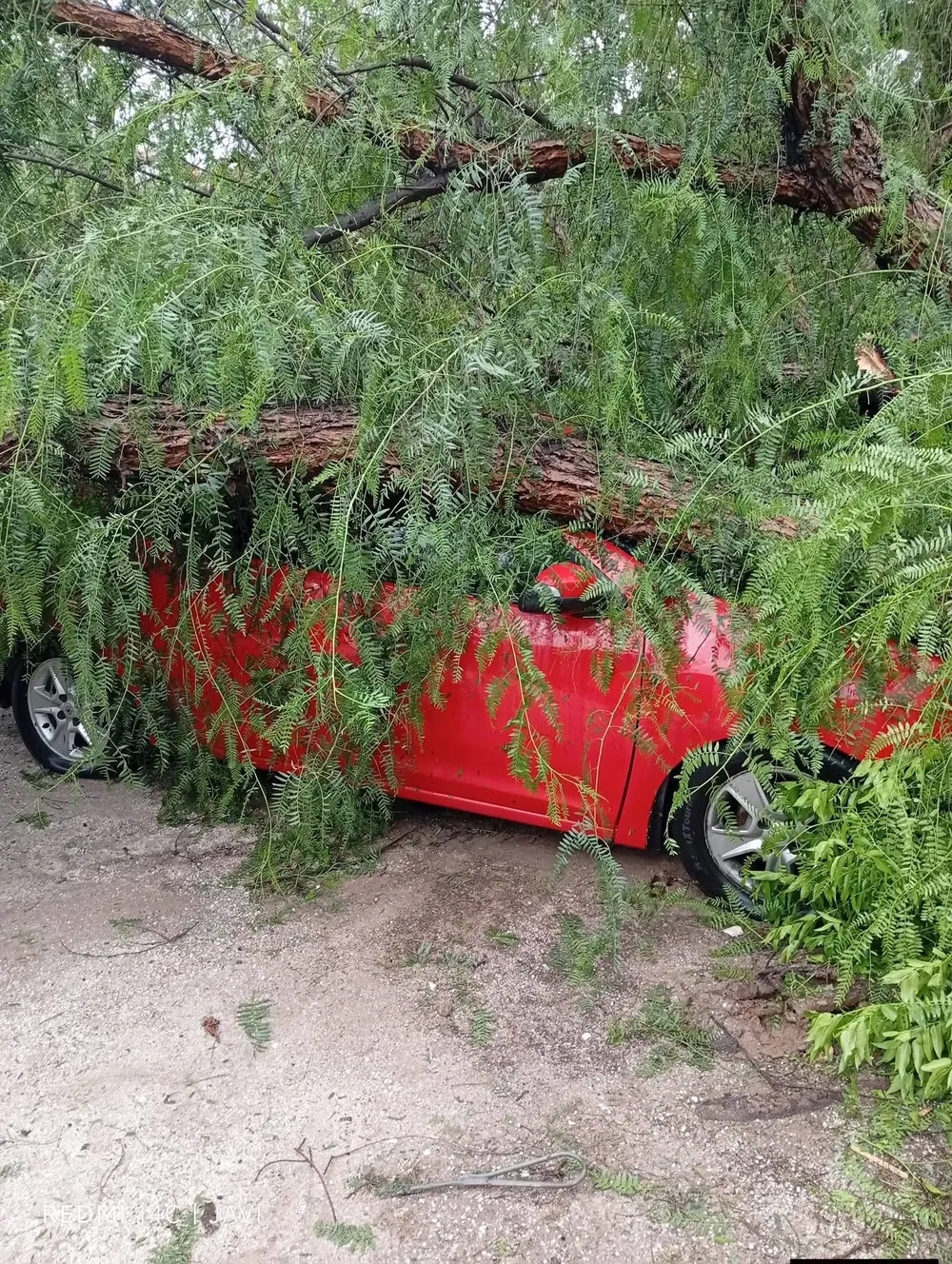 615724799_1502915085174924_5590087319275867282_n