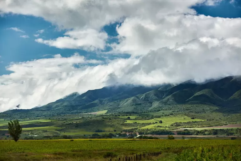 696a5d9a34b4c__770x770