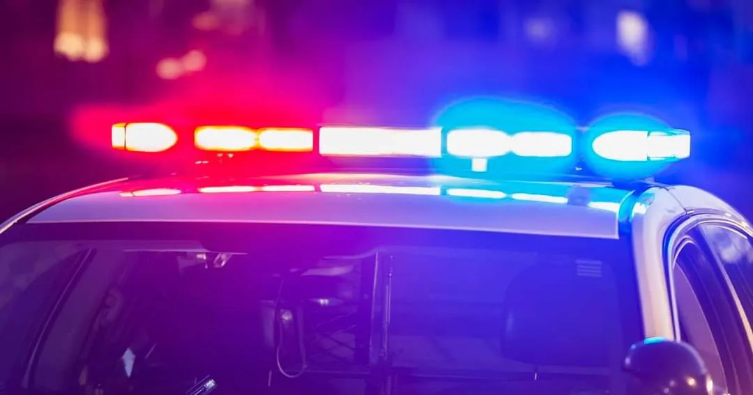 FB_IMG_1699701956557